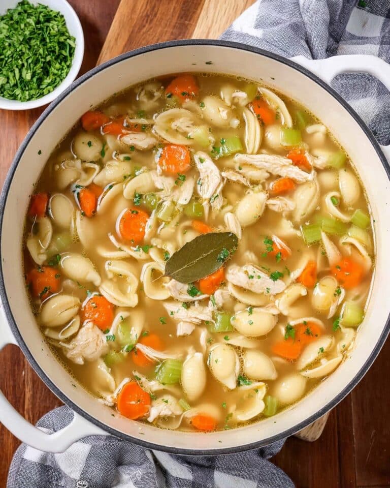 Turkey Soup with Pasta and Vegetables Recipe